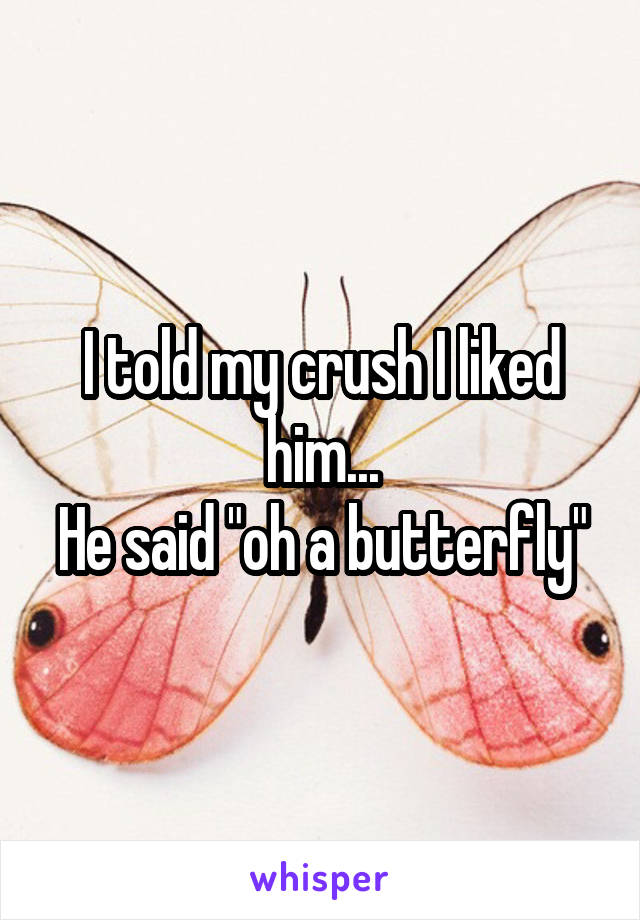 I told my crush I liked him...
He said "oh a butterfly"