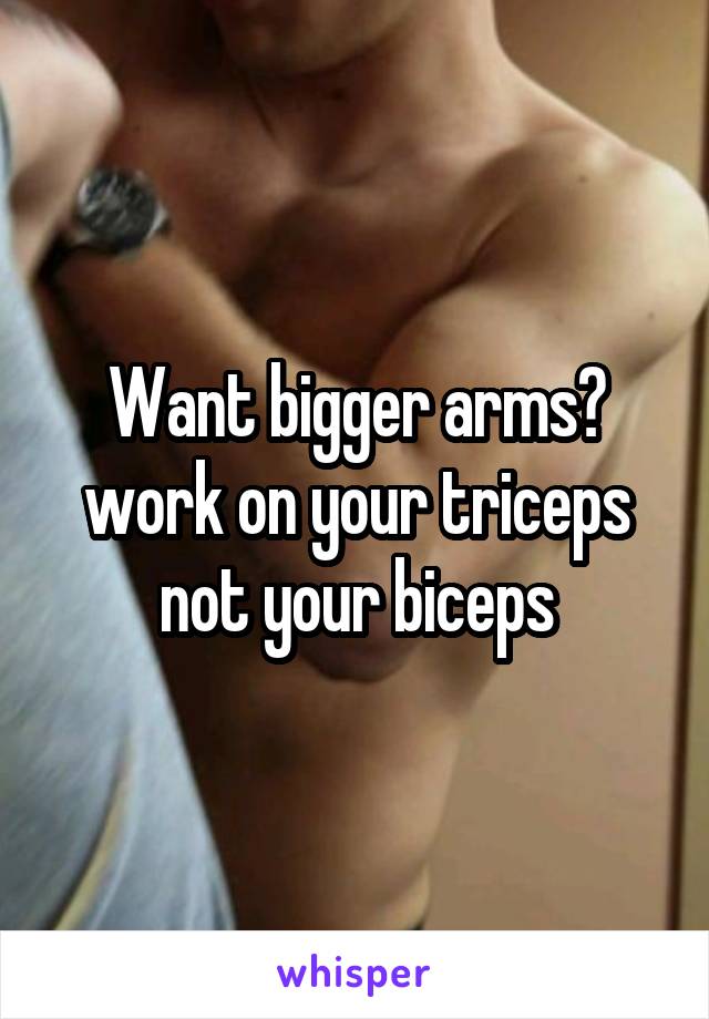 Want bigger arms? work on your triceps not your biceps