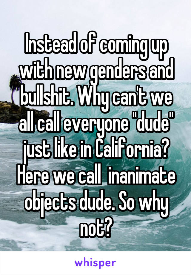 Instead of coming up with new genders and bullshit. Why can't we all call everyone "dude" just like in California? Here we call  inanimate objects dude. So why not?