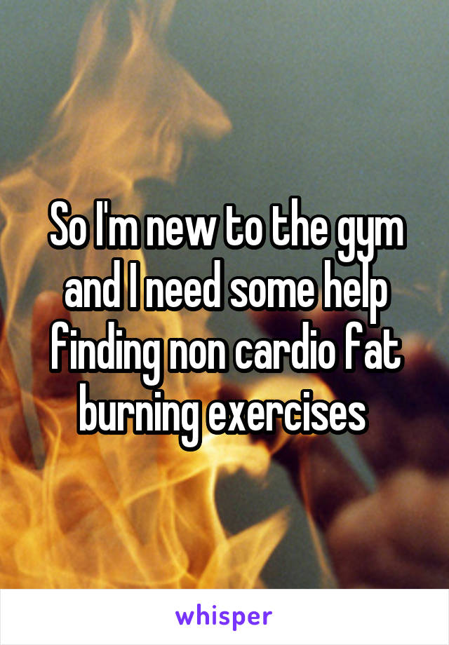 So I'm new to the gym and I need some help finding non cardio fat burning exercises 