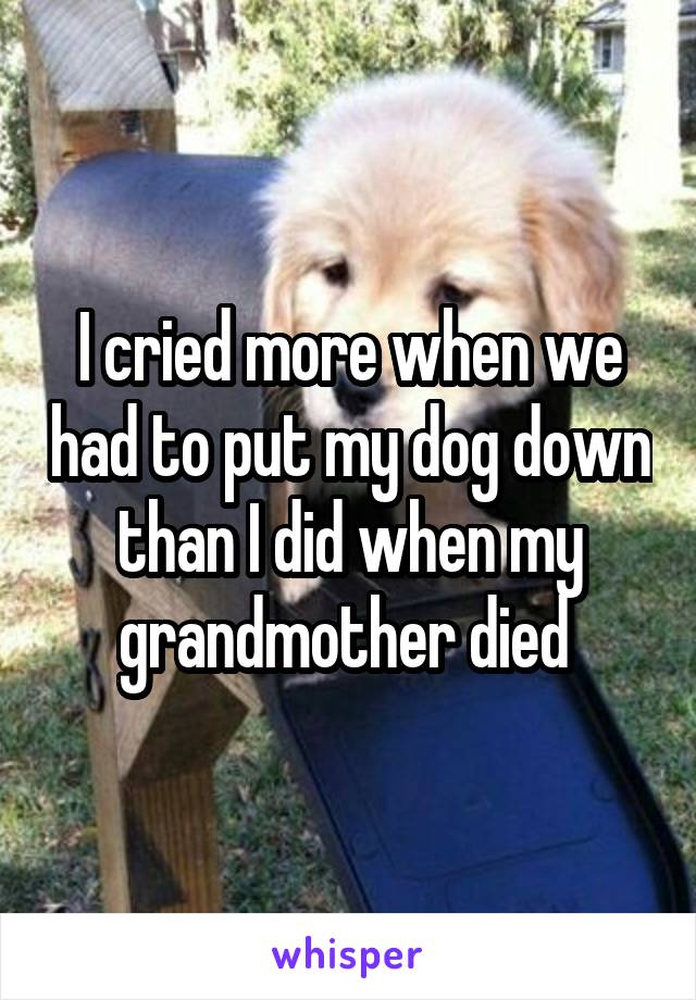 I cried more when we had to put my dog down than I did when my grandmother died 