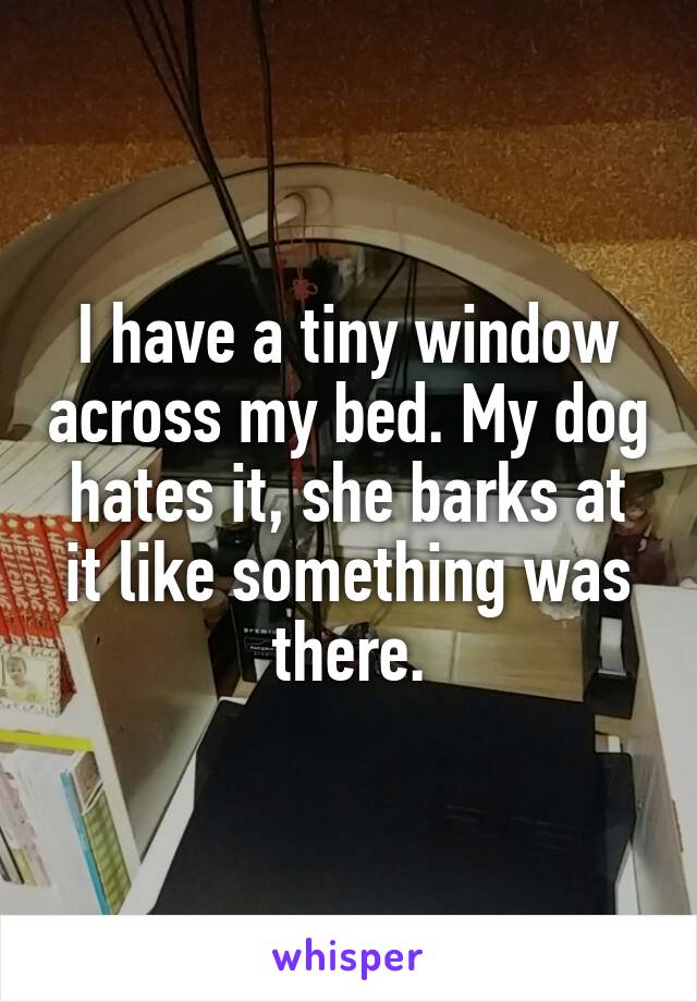 I have a tiny window across my bed. My dog hates it, she barks at it like something was there.