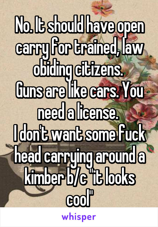 No. It should have open carry for trained, law obiding citizens. 
Guns are like cars. You need a license. 
I don't want some fuck head carrying around a kimber b/c "it looks cool"