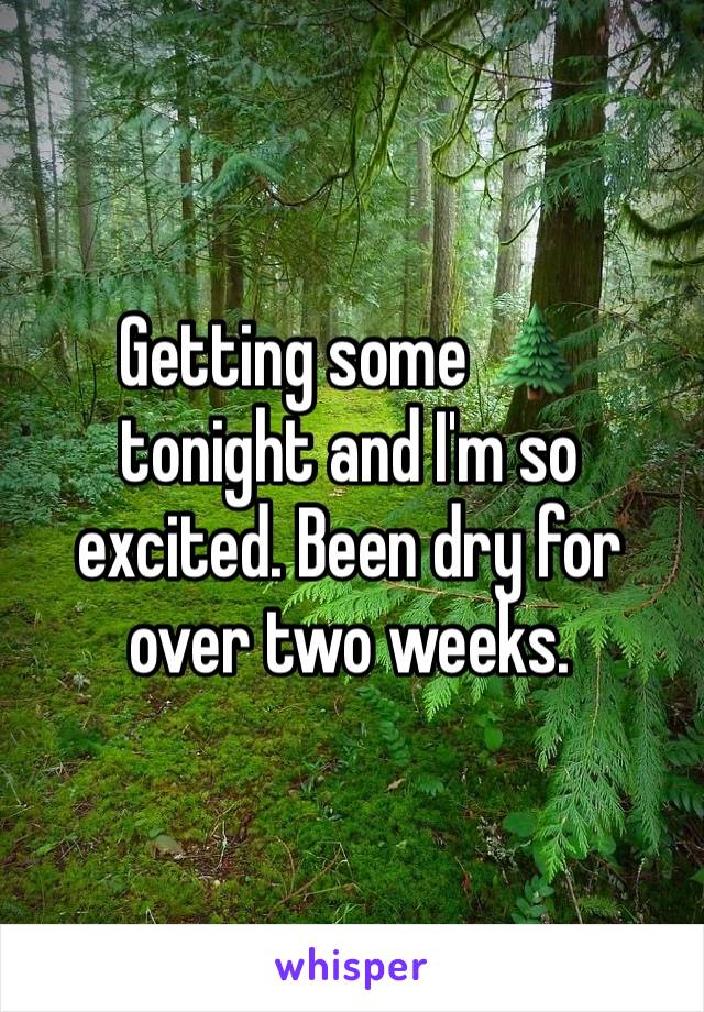 Getting some 🌲 tonight and I'm so excited. Been dry for over two weeks. 