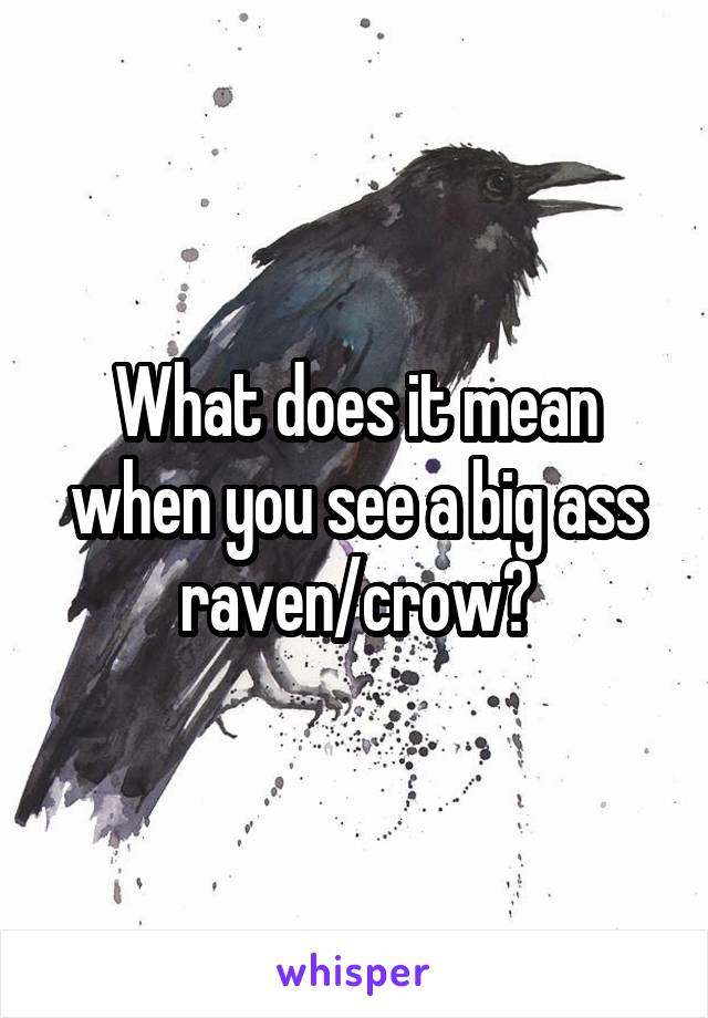 What does it mean when you see a big ass raven/crow?