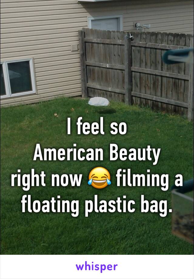 

I feel so 
American Beauty 
right now 😂 filming a floating plastic bag.