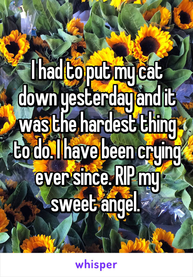 I had to put my cat down yesterday and it was the hardest thing to do. I have been crying ever since. RIP my sweet angel. 