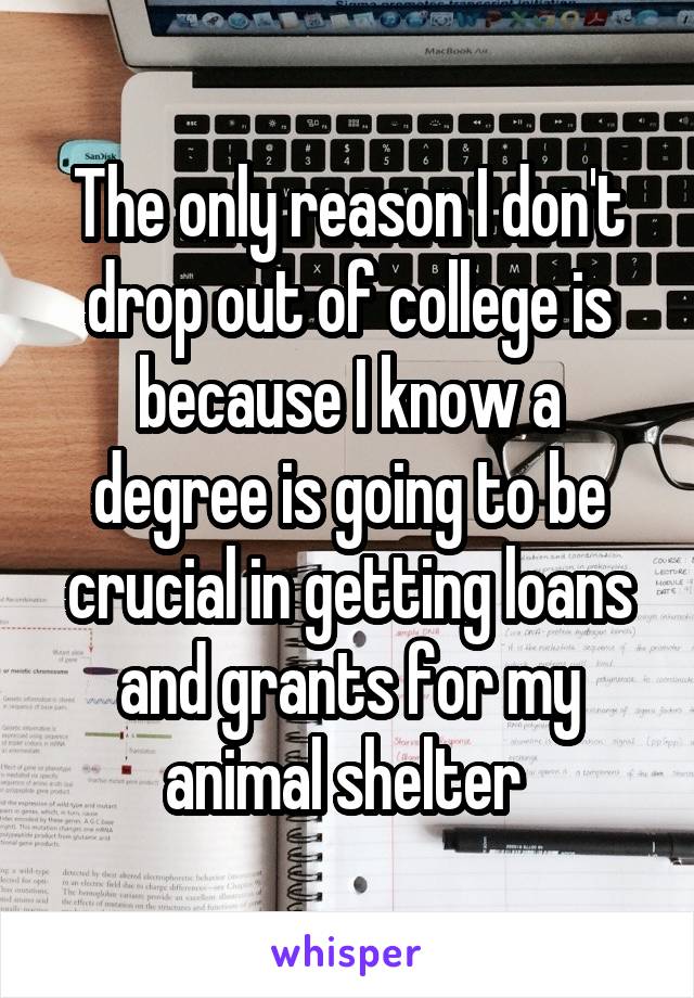 The only reason I don't drop out of college is because I know a degree is going to be crucial in getting loans and grants for my animal shelter 