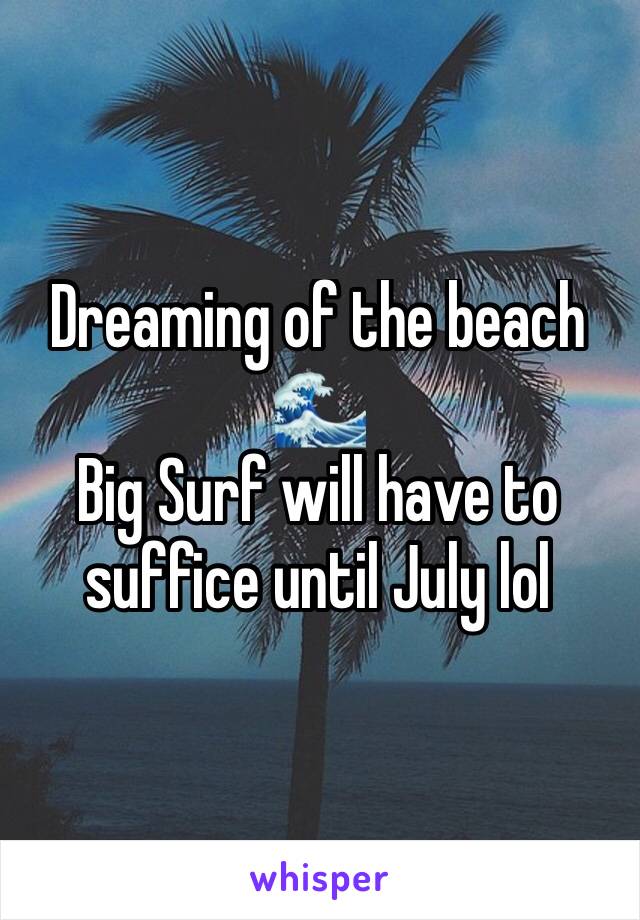 Dreaming of the beach 🌊 
Big Surf will have to suffice until July lol