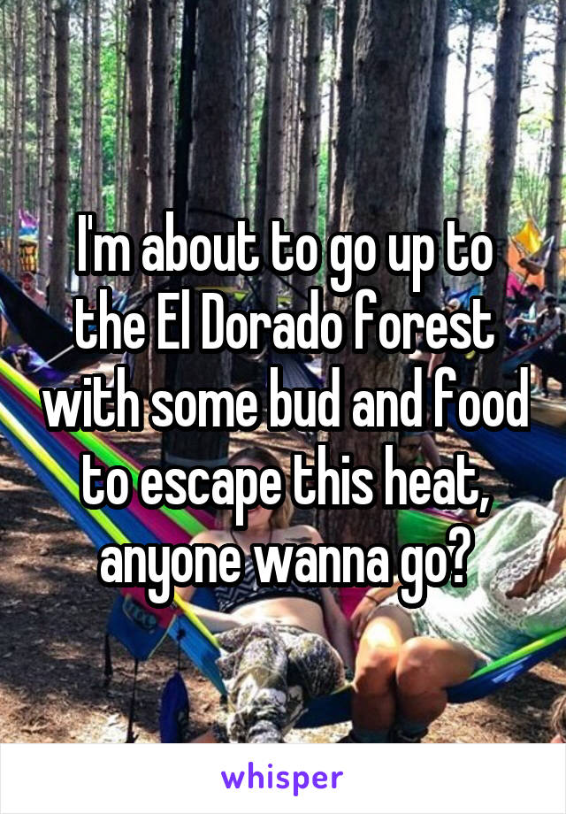 I'm about to go up to the El Dorado forest with some bud and food to escape this heat, anyone wanna go?