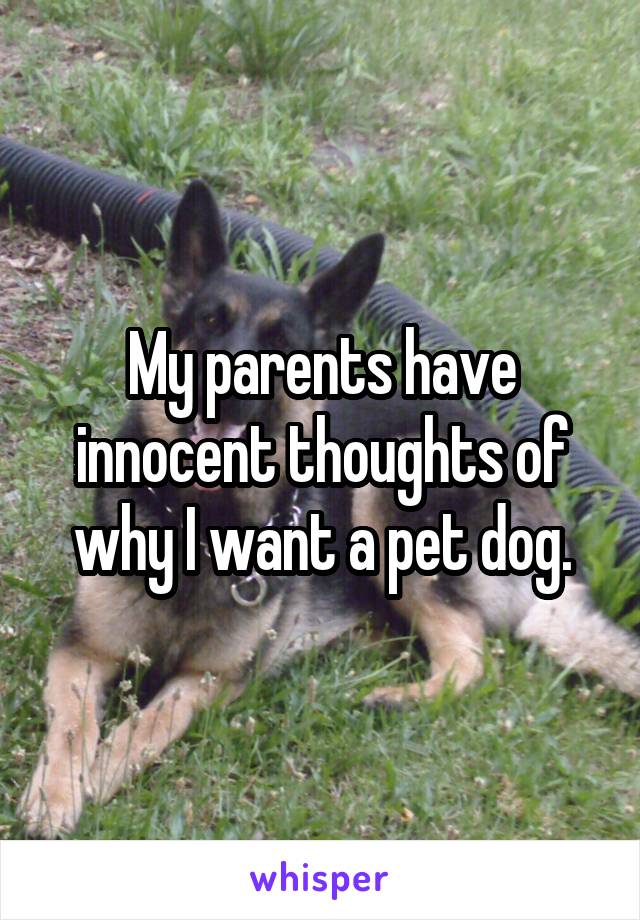 My parents have innocent thoughts of why I want a pet dog.