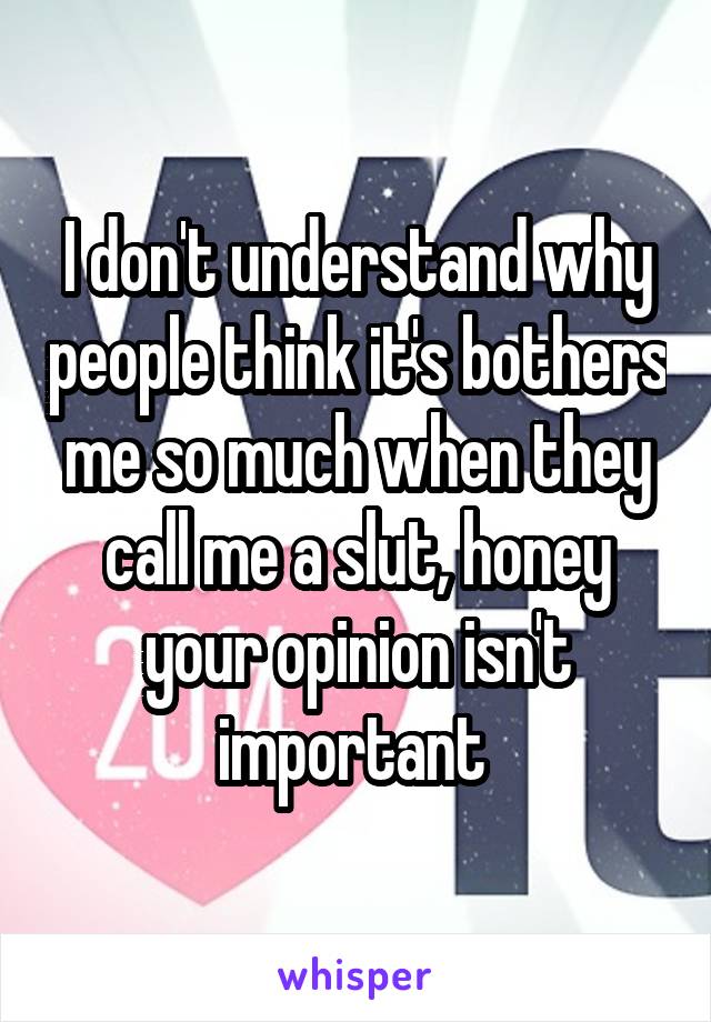 I don't understand why people think it's bothers me so much when they call me a slut, honey your opinion isn't important 