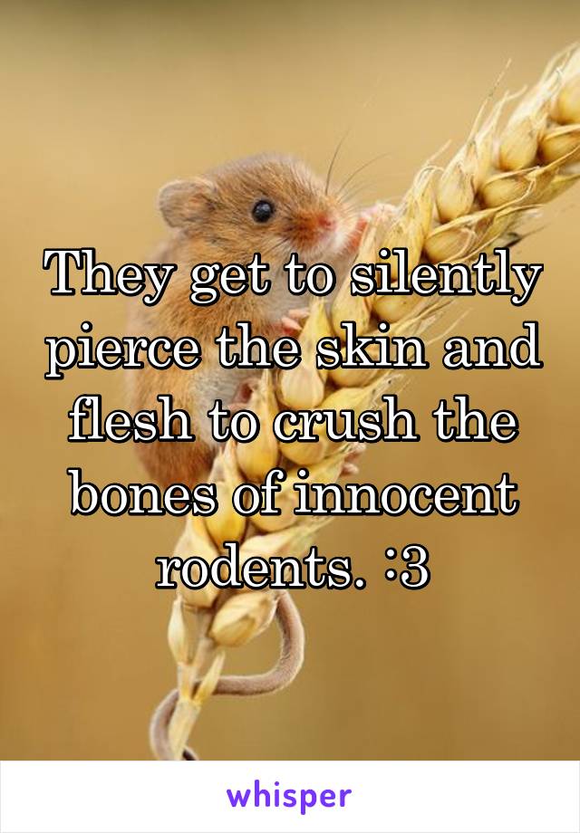 They get to silently pierce the skin and flesh to crush the bones of innocent rodents. :3