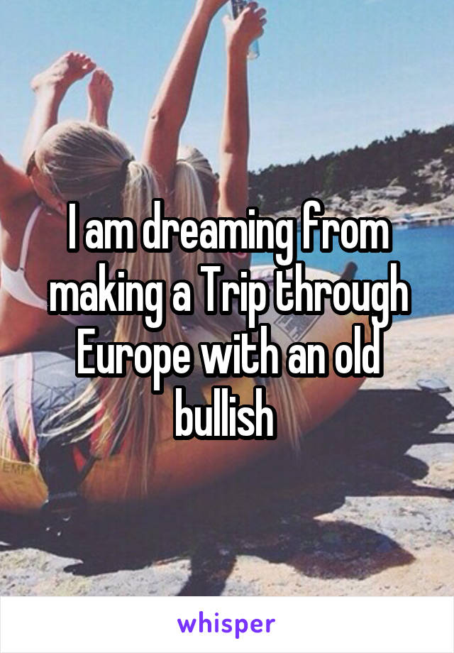 I am dreaming from making a Trip through Europe with an old bullish 