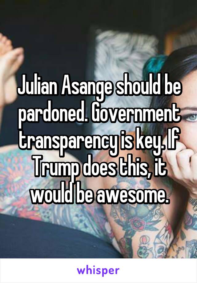 Julian Asange should be pardoned. Government transparency is key. If Trump does this, it would be awesome.