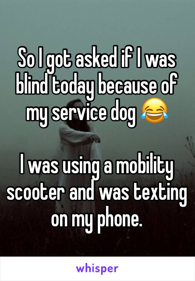 So I got asked if I was blind today because of my service dog 😂

I was using a mobility scooter and was texting on my phone. 