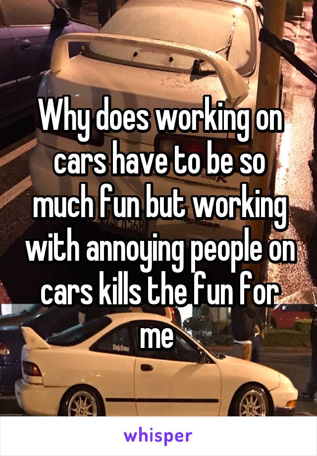 Why does working on cars have to be so much fun but working with annoying people on cars kills the fun for me 