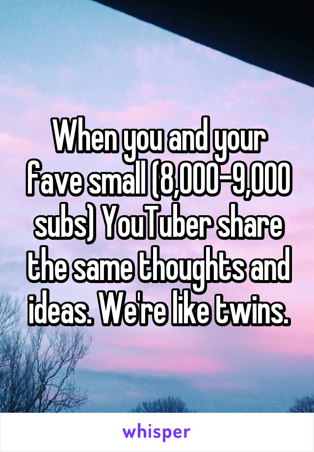 When you and your fave small (8,000-9,000 subs) YouTuber share the same thoughts and ideas. We're like twins.
