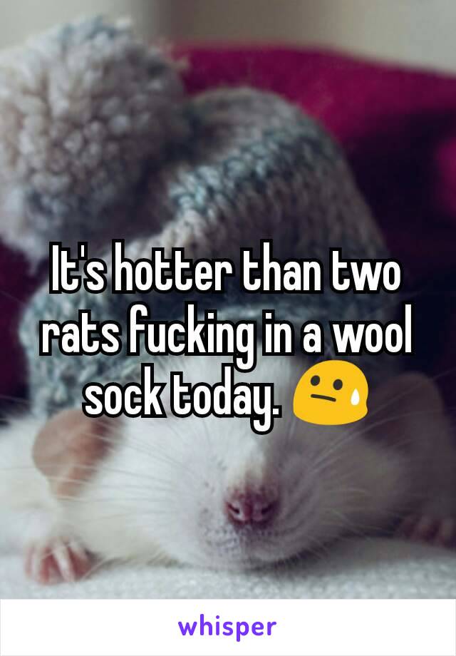 It's hotter than two rats fucking in a wool sock today. 😓