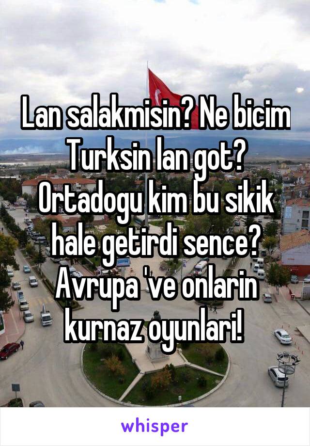 Lan salakmisin? Ne bicim Turksin lan got? Ortadogu kim bu sikik hale getirdi sence? Avrupa 've onlarin kurnaz oyunlari! 