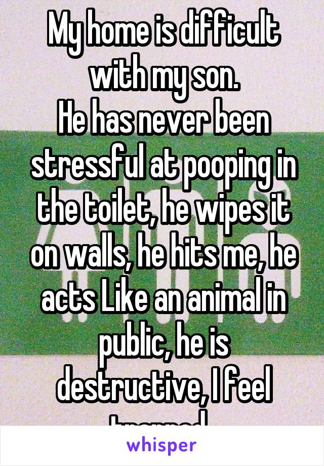 My home is difficult with my son.
He has never been stressful at pooping in the toilet, he wipes it on walls, he hits me, he acts Like an animal in public, he is destructive, I feel trapped. 