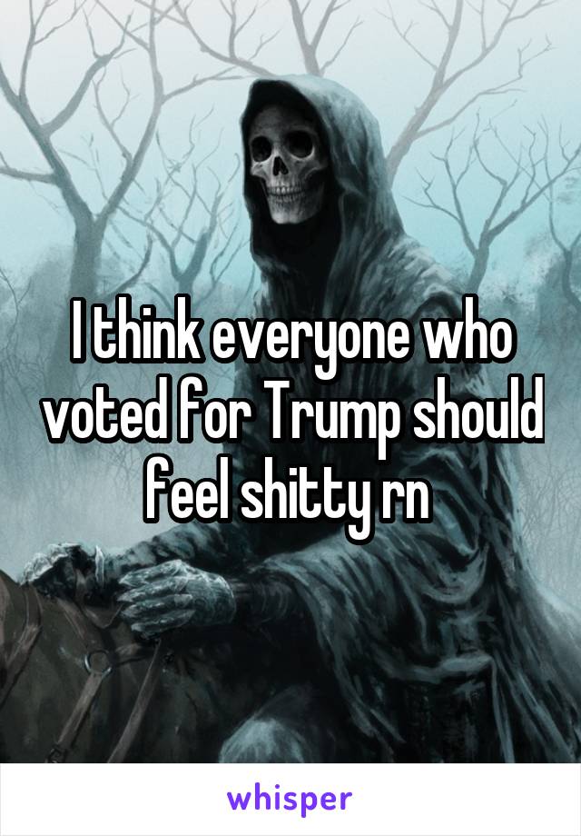 I think everyone who voted for Trump should feel shitty rn 