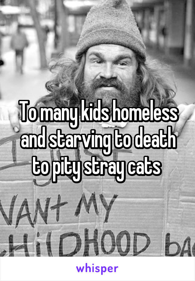 To many kids homeless and starving to death to pity stray cats 