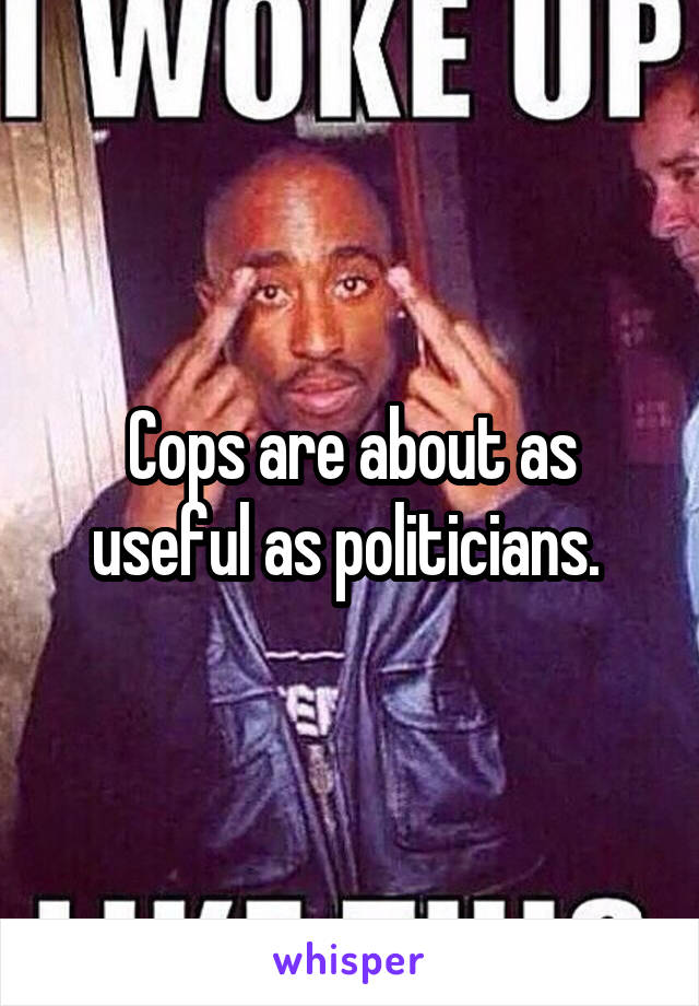 Cops are about as useful as politicians. 