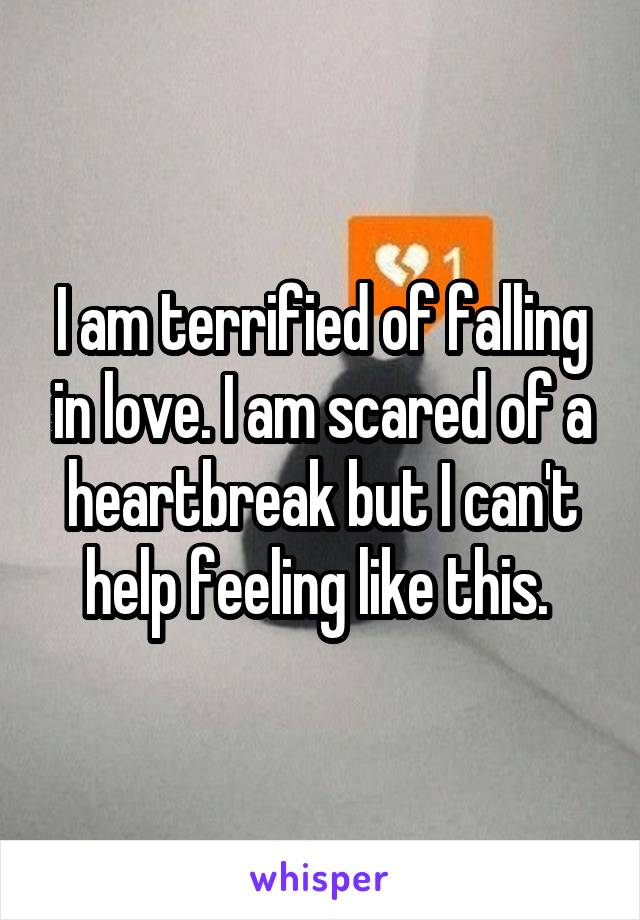 I am terrified of falling in love. I am scared of a heartbreak but I can't help feeling like this. 
