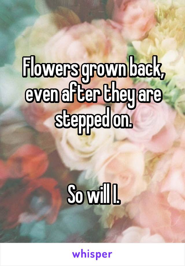 Flowers grown back, even after they are stepped on.


So will I.