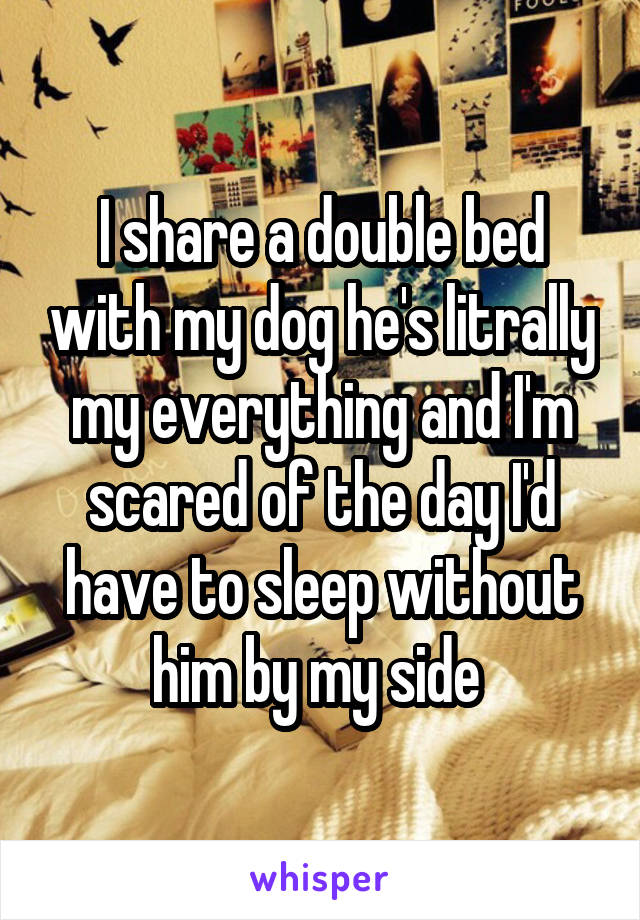 I share a double bed with my dog he's litrally my everything and I'm scared of the day I'd have to sleep without him by my side 