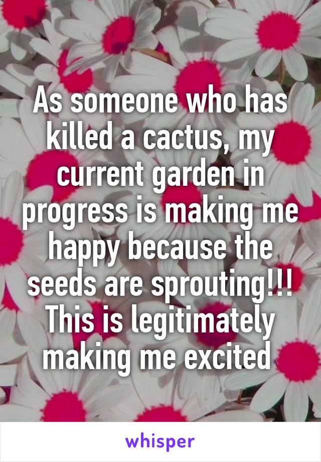 As someone who has killed a cactus, my current garden in progress is making me happy because the seeds are sprouting!!! This is legitimately making me excited 