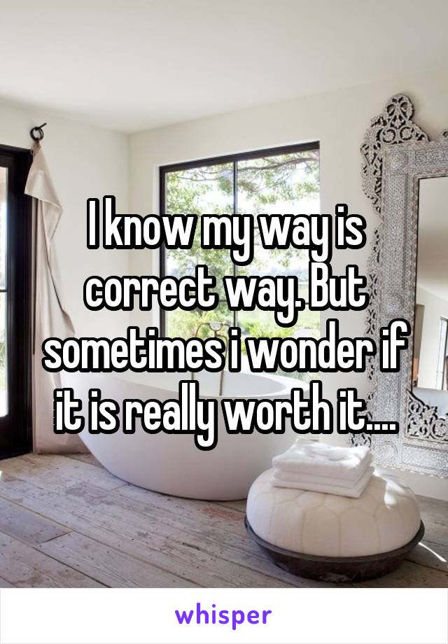 I know my way is correct way. But sometimes i wonder if it is really worth it....