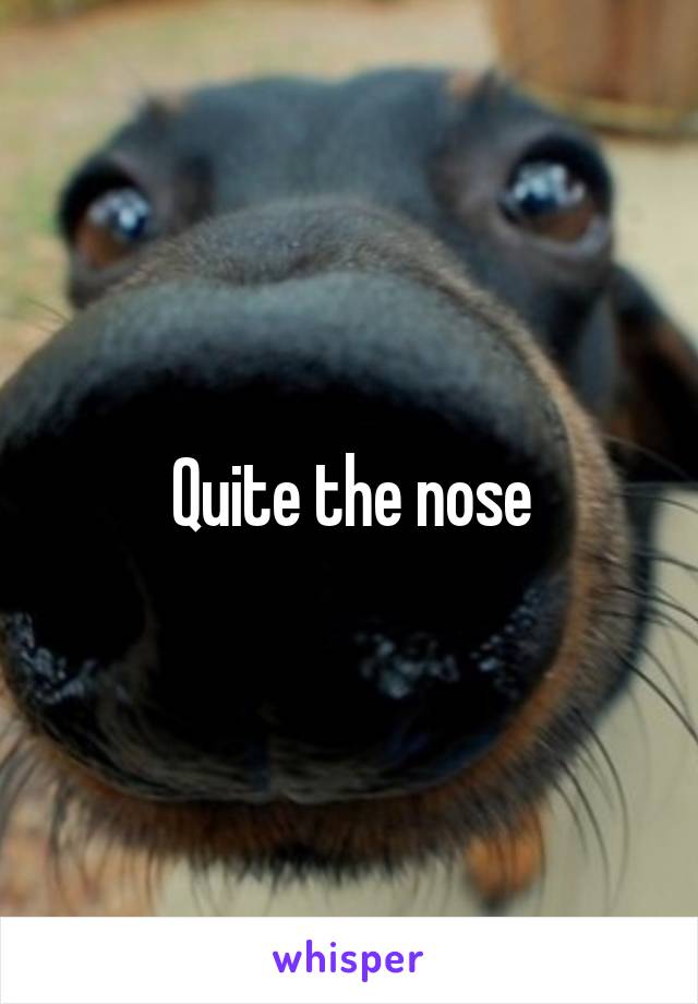 Quite the nose