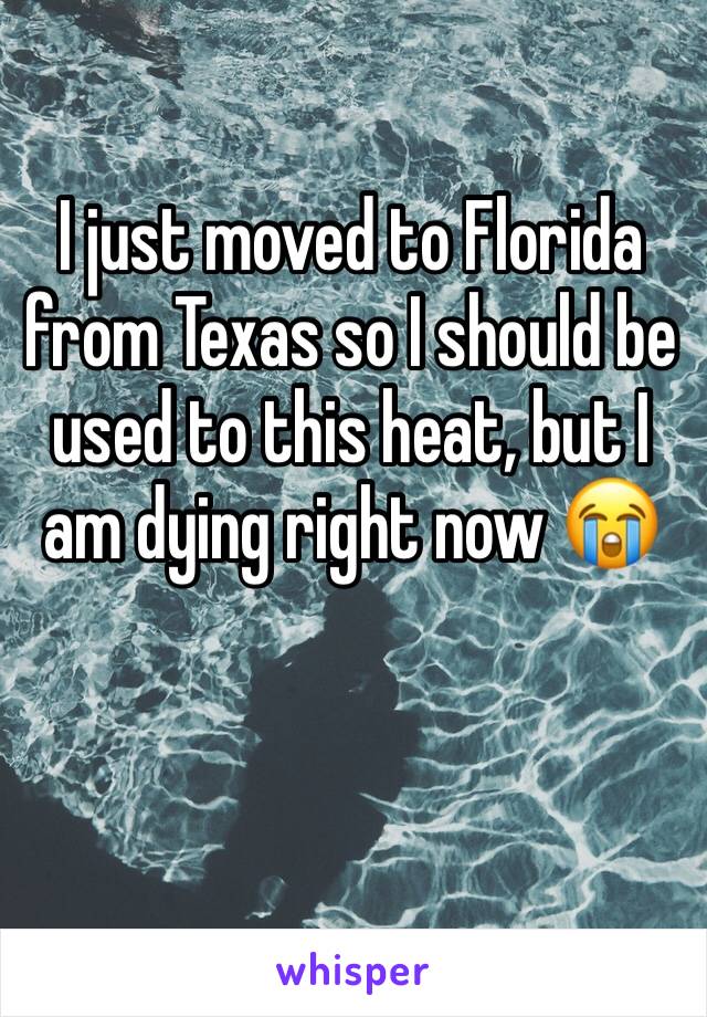 I just moved to Florida from Texas so I should be used to this heat, but I am dying right now 😭