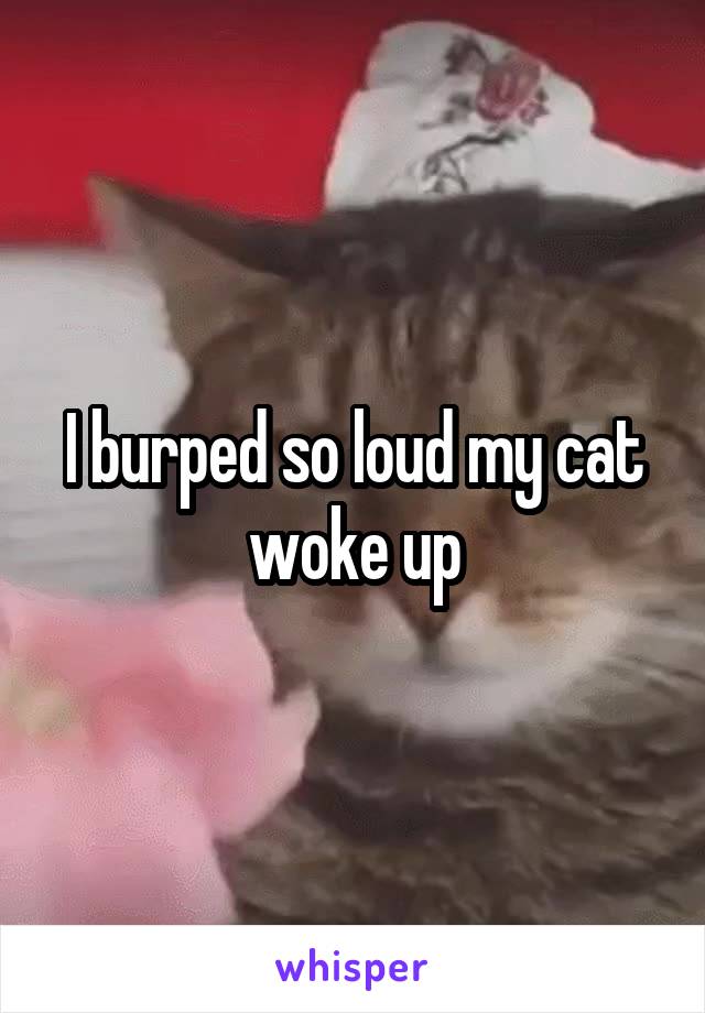 I burped so loud my cat woke up