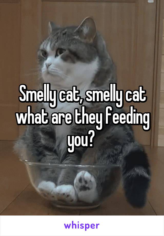 Smelly cat, smelly cat what are they feeding you? 