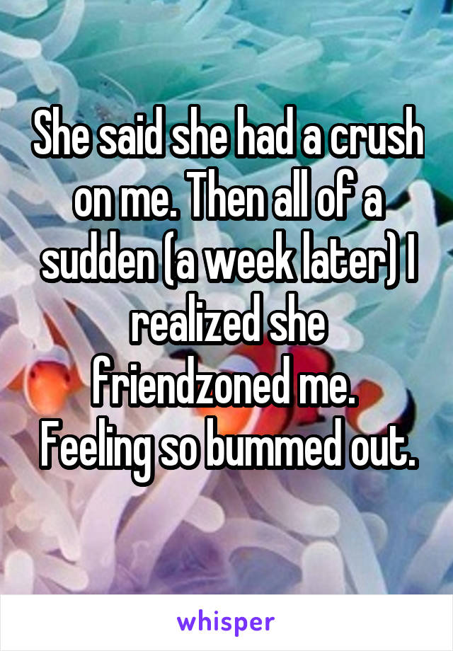 She said she had a crush on me. Then all of a sudden (a week later) I realized she friendzoned me. 
Feeling so bummed out. 