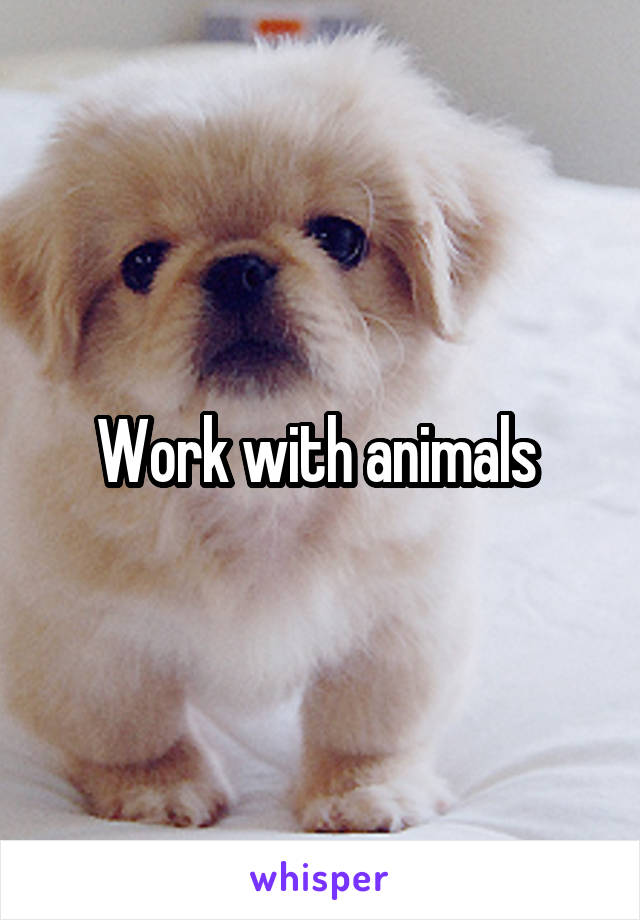 Work with animals 