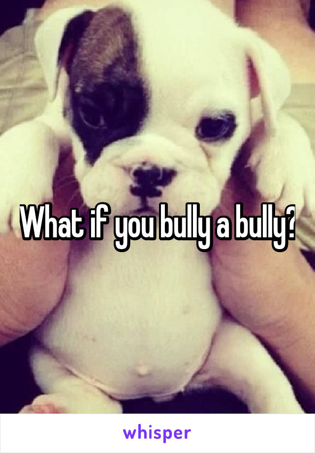 What if you bully a bully?