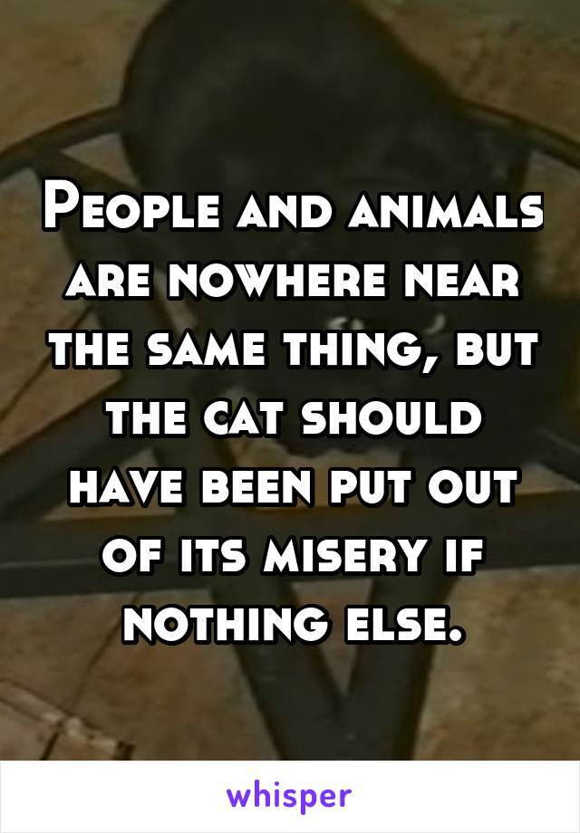 People and animals are nowhere near the same thing, but the cat should have been put out of its misery if nothing else.