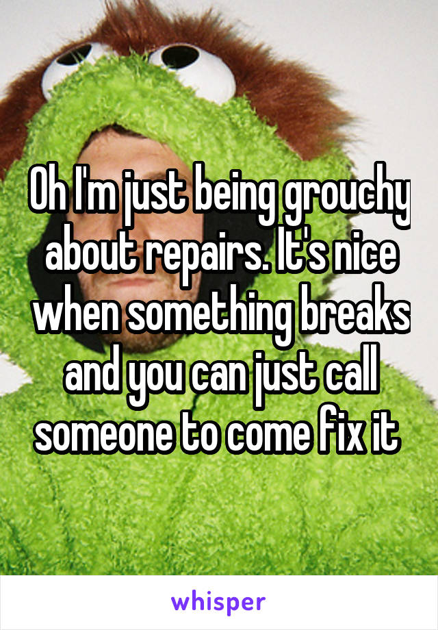 Oh I'm just being grouchy about repairs. It's nice when something breaks and you can just call someone to come fix it 