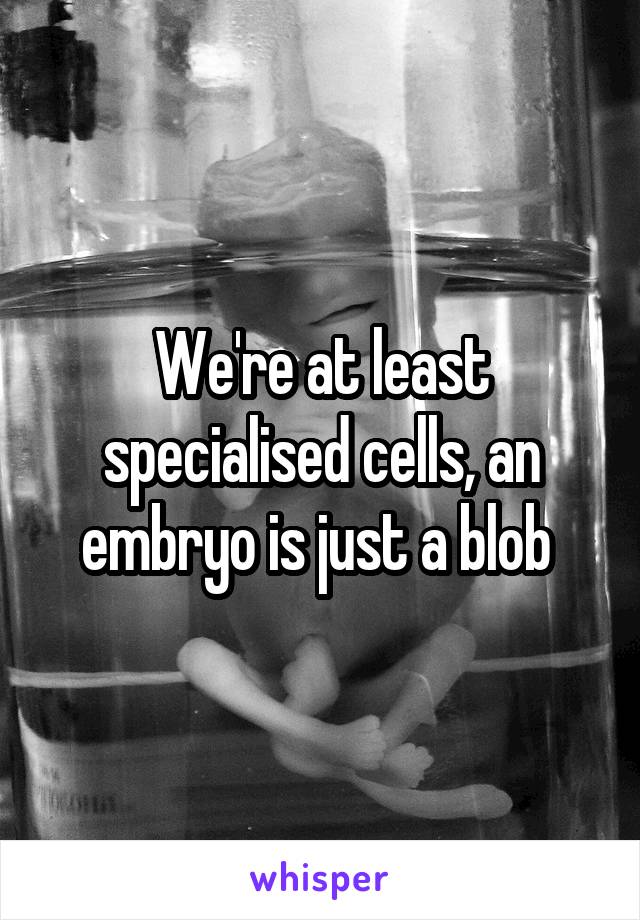 We're at least specialised cells, an embryo is just a blob 