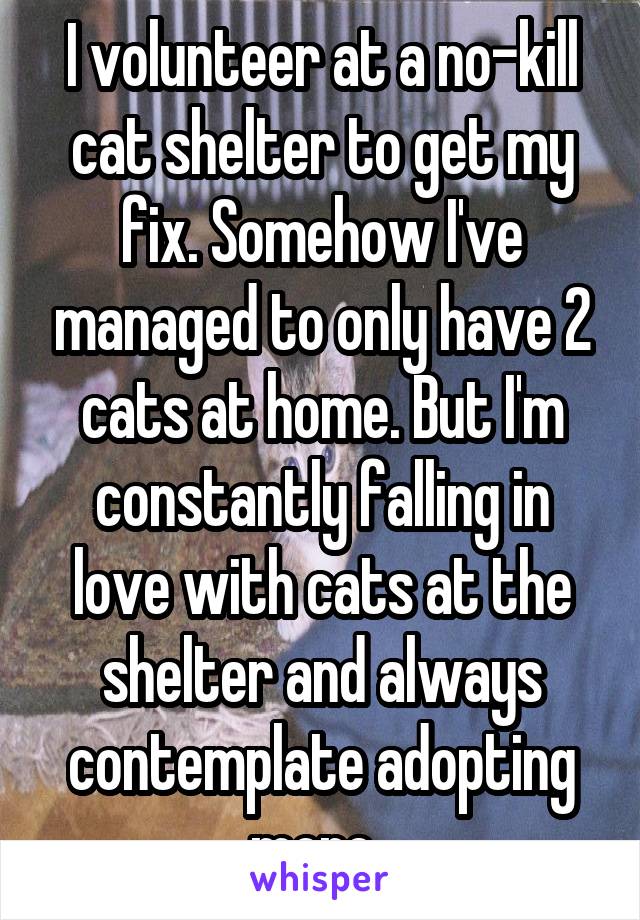 I volunteer at a no-kill cat shelter to get my fix. Somehow I've managed to only have 2 cats at home. But I'm constantly falling in love with cats at the shelter and always contemplate adopting more. 