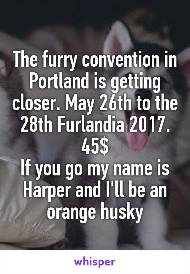 The furry convention in Portland is getting closer. May 26th to the 28th Furlandia 2017.
45$
If you go my name is Harper and I'll be an orange husky