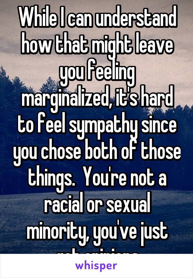 While I can understand how that might leave you feeling marginalized, it's hard to feel sympathy since you chose both of those things.  You're not a racial or sexual minority, you've just got opinions
