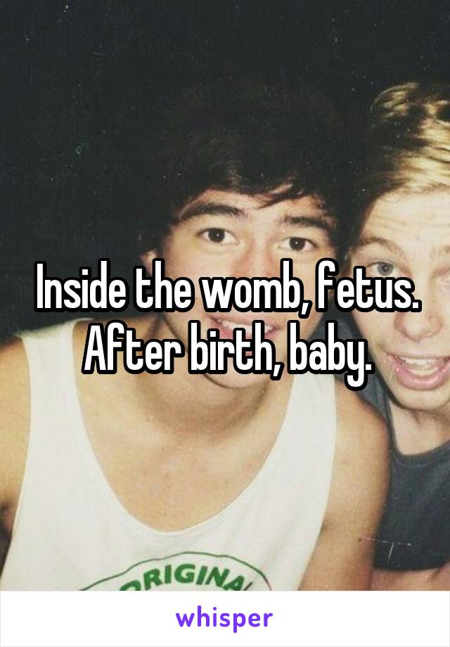 Inside the womb, fetus. After birth, baby.