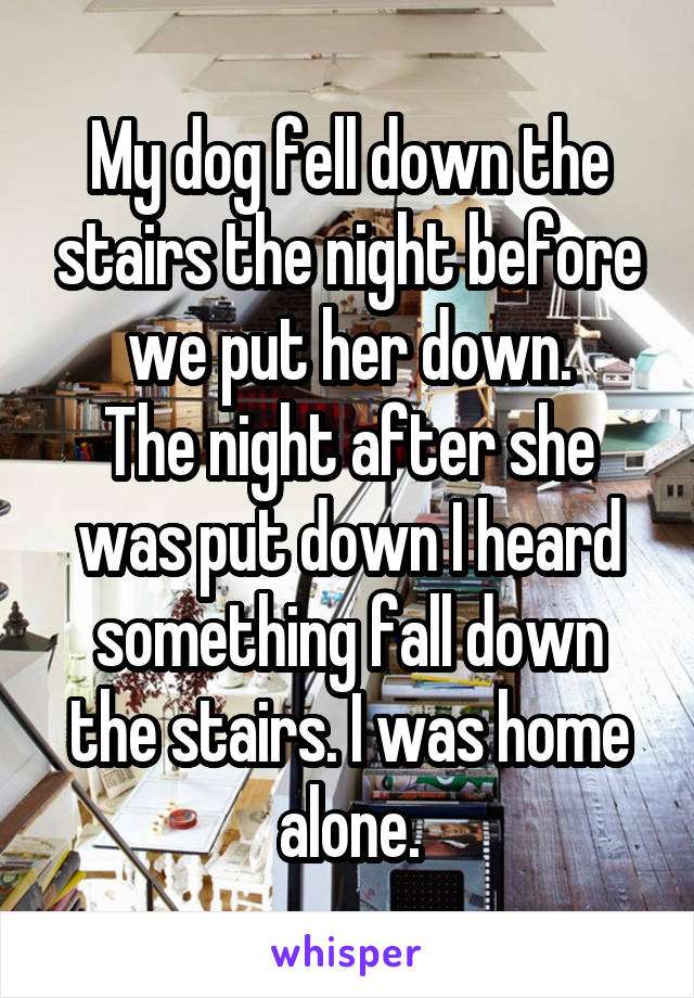 My dog fell down the stairs the night before we put her down.
The night after she was put down I heard something fall down the stairs. I was home alone.