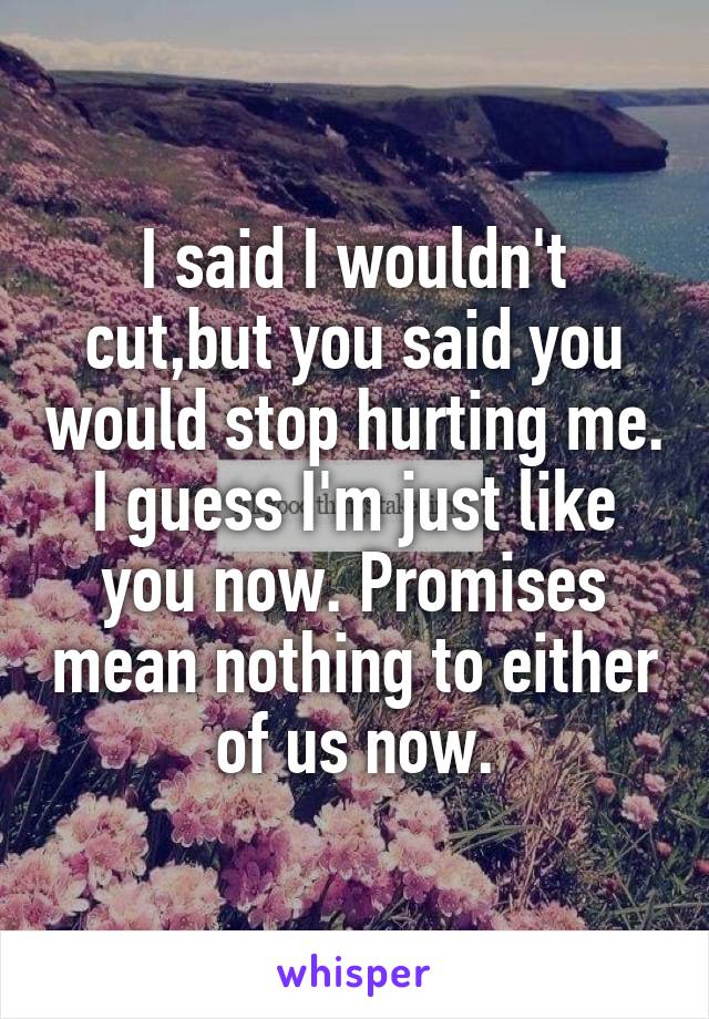I said I wouldn't cut,but you said you would stop hurting me. I guess I'm just like you now. Promises mean nothing to either of us now.
