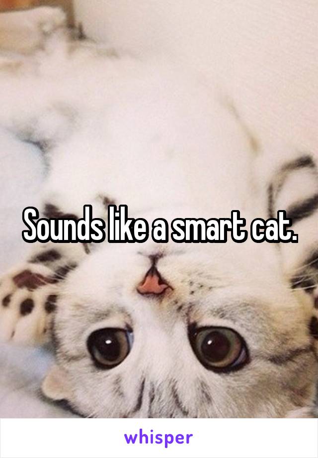Sounds like a smart cat.